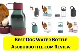 Best Dog Water Bottle Asobubbottle.com