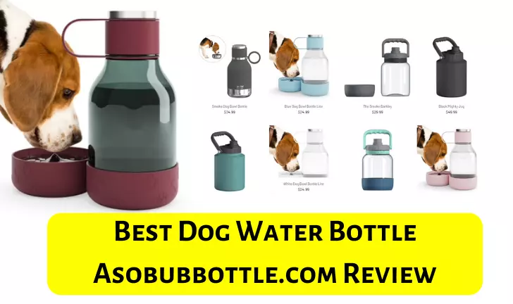 Best Dog Water Bottle Asobubbottle.com