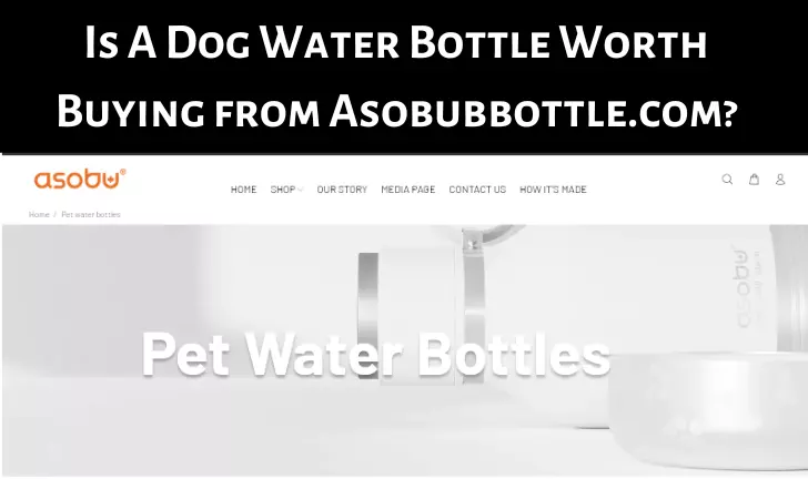 Is A Dog Water Bottle Worth Buying from Asobubbottle.com?