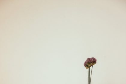 DevOps vs. Agile Understanding the Differences